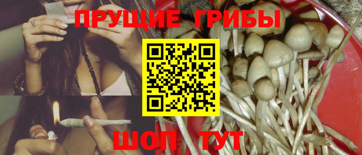 Галлюциногенные грибы GOLDEN TEACHER  Вход с VPN  Ярославль 