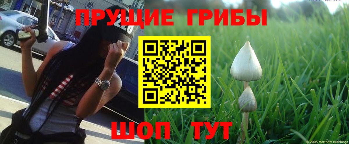 Галлюциногенные грибы Magic Shrooms Ярославль